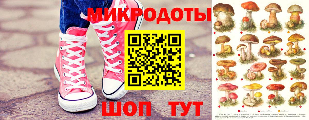Медногорск  Псилоцибиновые грибы Magic Shrooms  Вход с VPN  закладки  Псилоцибиновые грибы Cubensis 